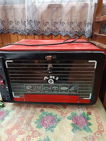 100 cc mator: ARI elektrik sobası - Növ: Elektrik mini soba/şüşə qapılı şaquli — 3