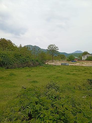 Torpaq sahələrinin satışı: 12 sot, Tikinti, Mülkiyyətçi, Kupça (Çıxarış) — 14