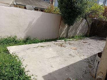 corat heyet evleri: 5 otaqlı, 300 kv. m, Kredit yoxdur — 6