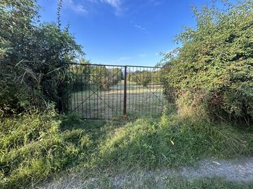 Kirayə torpaq sahələri: Kənd təsərrüfatı -da lalafo.az — 24 Kirayə torpaq sahələri: Kənd təsərrüfatı — 24