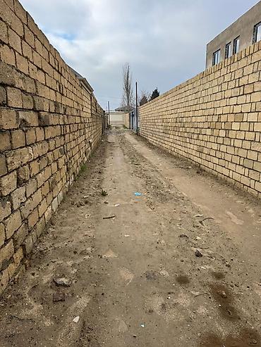 şamaxı ev satışı: 6 sot, Tikinti, Mülkiyyətçi, Kupça (Çıxarış), Texniki pasport — 6