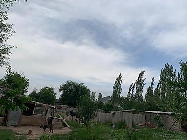Продажа коттеджей и домов: Продаётся дом с просторной планировкой. - Большая кухня-столовая с — 7