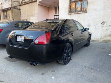 Nissan: Nissan Maxima: 3.5 л | 2005 г. Седан