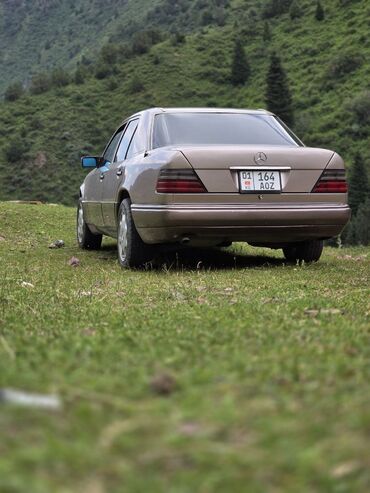 Mercedes-Benz: Mercedes-Benz E-Class: 1994 г., 2.2 л, Автомат, Бензин, Седан