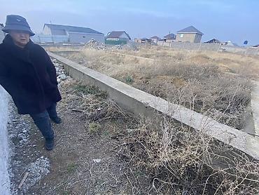 участок 3000: 5 соток, Для строительства, Красная книга — 4