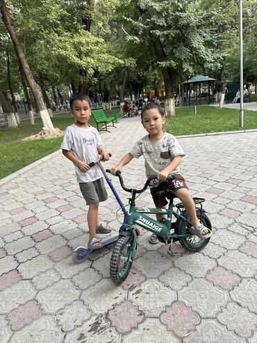 сниму домик: 15 м², 1 комната