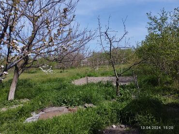 Həyət evləri və villaların satışı: 8 otaq, 240 kv. m, Kredit var, Yeni təmirli — 9