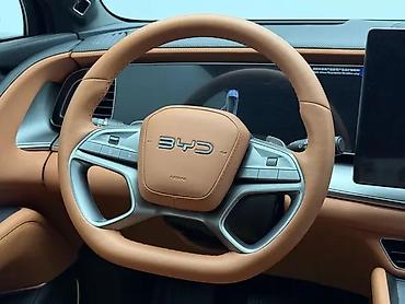 BYD: BYD Sea Lion 07: 2025 г., Кроссовер — 10