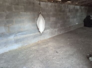 Продажа домов: Времянка, 53 м², 3 комнаты, Собственник — 16