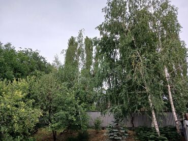 Продажа домов: Дом, 88 м², 4 комнаты, Агентство недвижимости, Косметический ремонт — 25