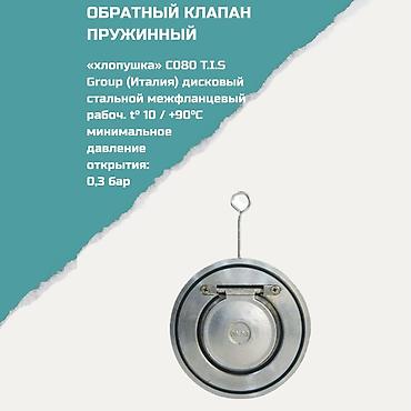 Обратные клапаны: Обратный клапан пружинный «хлопушка» C080 T.I.S Group (Италия) - Тип — 1