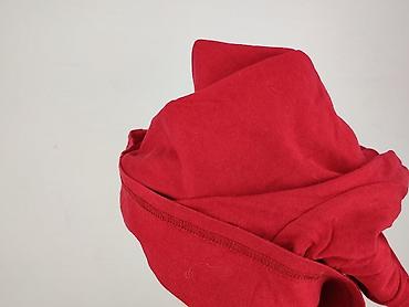 c: Dorothy Perkins, Bluzka damska, rozmiar 3XL — 6