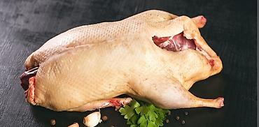lal ordek balası: Təmizlənmiş Lal ördəklər 🦆 ⚖️ Çəkisi: 2.5–4 kq 🥩 Təmiz ət: təxminən — 1