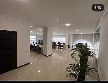 Аренда офисов: Сдается помещение — 272 м² Сдается в аренду полностью 6 этаж с — 6