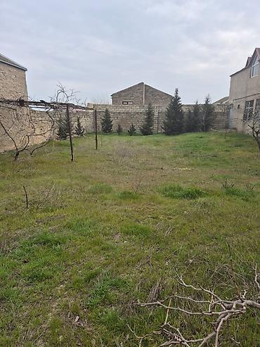 Bağ evlərinin satışı: Digah, 700 kv. m, 4 otaqlı, Su, Qaz, İşıq — 2