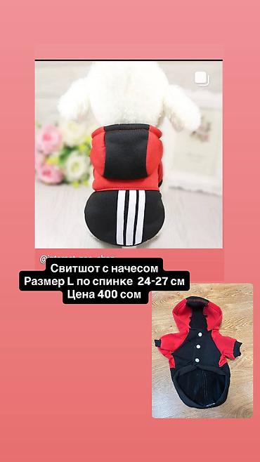 Зоотовары: Одежда для кошек и собак. Все НОВОЕ РАЗМЕР И ЦЕНА УКАЗАНЫ НА ФОТО — 18