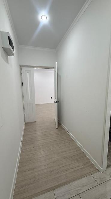 Продажа квартир: 1 комната, 45 м², Пишпек Элитка, 1 этаж, Евроремонт — 5