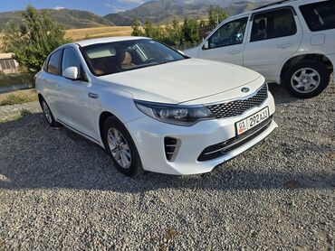 машина шкода: Kia K5: 2016 г., 2 л, Автомат, Газ, Седан