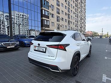 300h: Lexus NX: 2017 г., 2.5 л, Вариатор, Гибрид, Кроссовер — 6