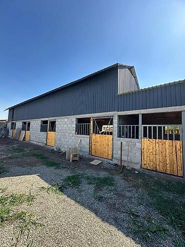 Куплю дом: 90 м², 4 комнаты — 1