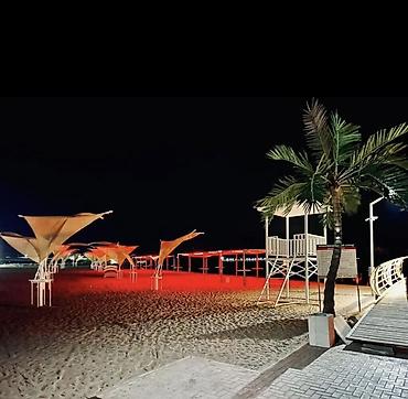 Продажа коттеджей и домов: Продается коттедж в селе Чок-Тал Palm Beach с обустроенным участком и — 29