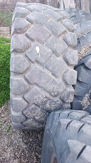 Шины: Комплект шин для спецтехники/сельхозтехники. - Назначение: ведущие и — 3