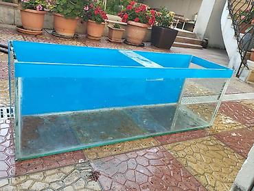 akvarium balik: Böyük ölçülü şüşə akvarium - Material: qalın, şəffaf şüşə korpus; üst — 2