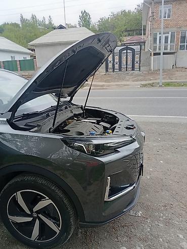 range: Амортизаторы капота Changan, Новый, Оригинал — 8