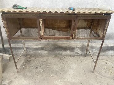 я ищу кроликов: Клетка для кроликов, металл, 150*50см, высота с ножками 120см, 3