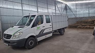 Mercedes-Benz: Mercedes-Benz Спринтер: 2009 г., 2.2 л, Механика, Дизель, Фургон — 2