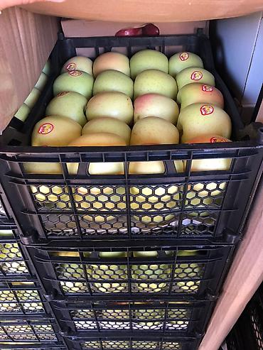 Ящики: Ящик — 13