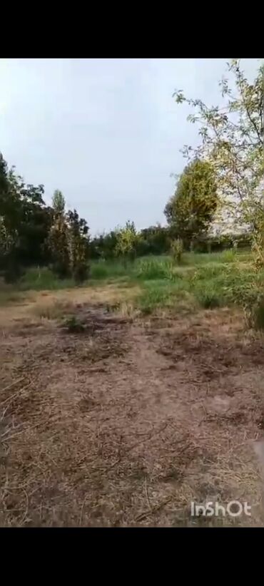 Torpaq sahələrinin satışı: 18 sot, Kənd təsərrüfatı, Mülkiyyətçi, Kupça (Çıxarış), Texniki pasport — 12