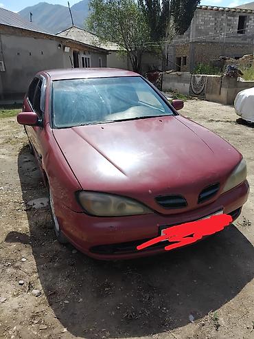 385 55: Nissan Primera: 1999 г., 1.6 л, Механика, Бензин, Седан — 1
