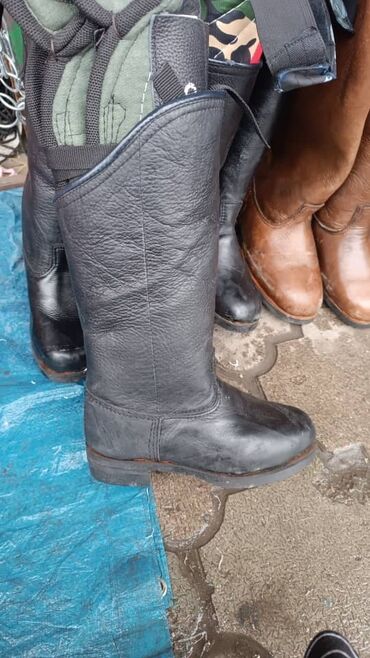 Товары и оборудование для с/х животных: Ээр,токум,тердик,ат жабуу,така мык,аркан,ремень,мешок,картошка — 7