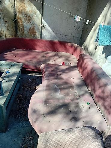 бекер там: Отдам даром, район Аламедин 1, городок Энергетиков 4 - Несколько — 6