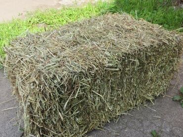 Корма для с/х животных: Срочно срочно разнотравье аралаш чоп беде оор кургак жакшы пресстелди