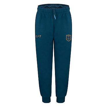 nike tech flecee: Мужские спортивные брюки EA7 Emporio Armani x SSC Napoli - Цвет — 1
