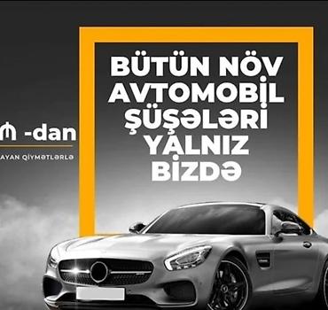 şuşe: İSDƏNİLƏN, 2024 il, ABŞ, Rayonlara çatdırılma, Pulsuz çatdırılma, Ödənişli çatdırılma — 2