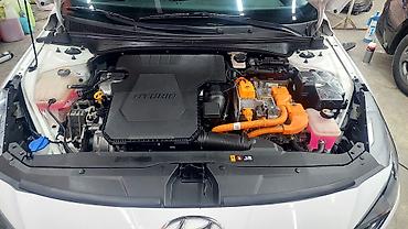 пленка авто: Hyundai Avante: 2022 г., 1.6 л, Гибрид, Седан — 8