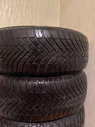 шины r16c: Шиналар 195 / 55 / R 16, All-season, Жуп, Жеңил унаалар, Continental
