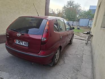 silvia s15: Nissan Almera Tino: 2001 г., 2.2 л, Механика, Дизель, Хэтчбэк — 3