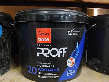 Краска акриловая моющаяся brite PRO LINE PROFF 20, шелковистая