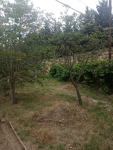 Həyət evləri və villaların satışı: 4 otaqlı, 146 kv. m — 17