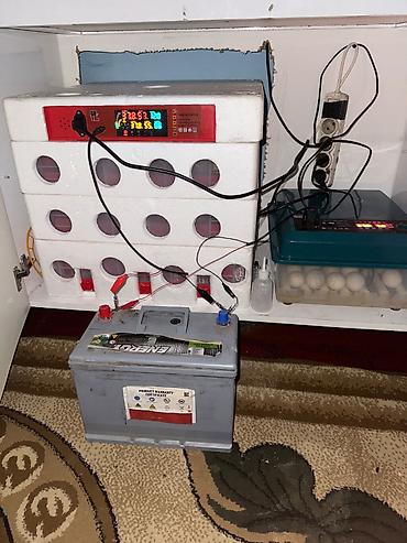 Avtoelektronika: 2 ayın aparatıdı 3 mərtəbədi tutum 196 dənəli hec bir pırablemi yoxdu — 4