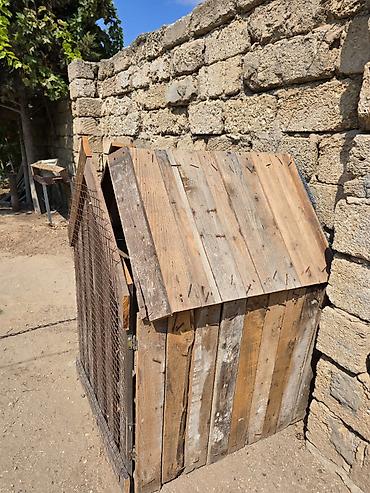 it xasqi: Taxta it evi / qəfəs tipli budka - Material: qalın taxta lövhələr və — 2