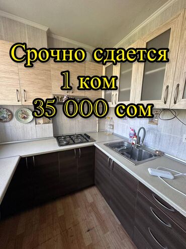 сдаю дом в новопокровке: 1 бөлмө, Кыймылсыз мүлк агенттиги, Чогуу жашоосу жок, Толугу менен эмереги бар