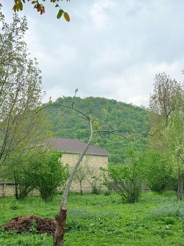 Torpaq sahələrinin satışı: 15 sot, Tikinti, Mülkiyyətçi, Kupça (Çıxarış) — 20