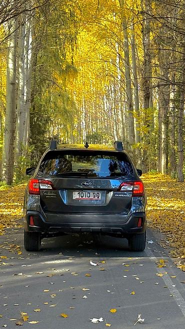 Subaru: Subaru Outback: 2019 г., 2.5 л, Автомат, Бензин, Универсал — 3