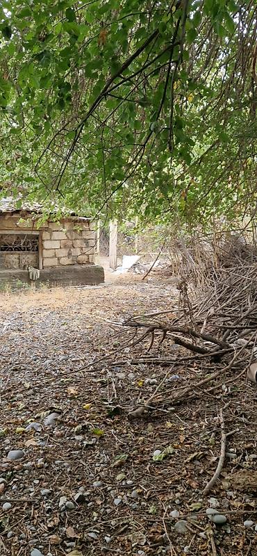 Torpaq sahələrinin satışı: 85 sot, Kənd təsərrüfatı, Mülkiyyətçi, Kupça (Çıxarış) — 14