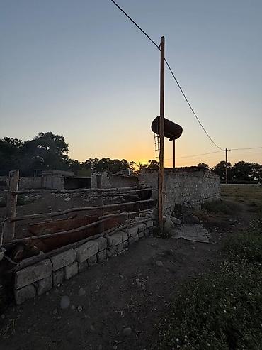 Torpaq sahələrinin satışı: Kənd təsərrüfatı, Mülkiyyətçi -da lalafo.az — 8 Torpaq sahələrinin satışı: Kənd təsərrüfatı, Mülkiyyətçi — 8